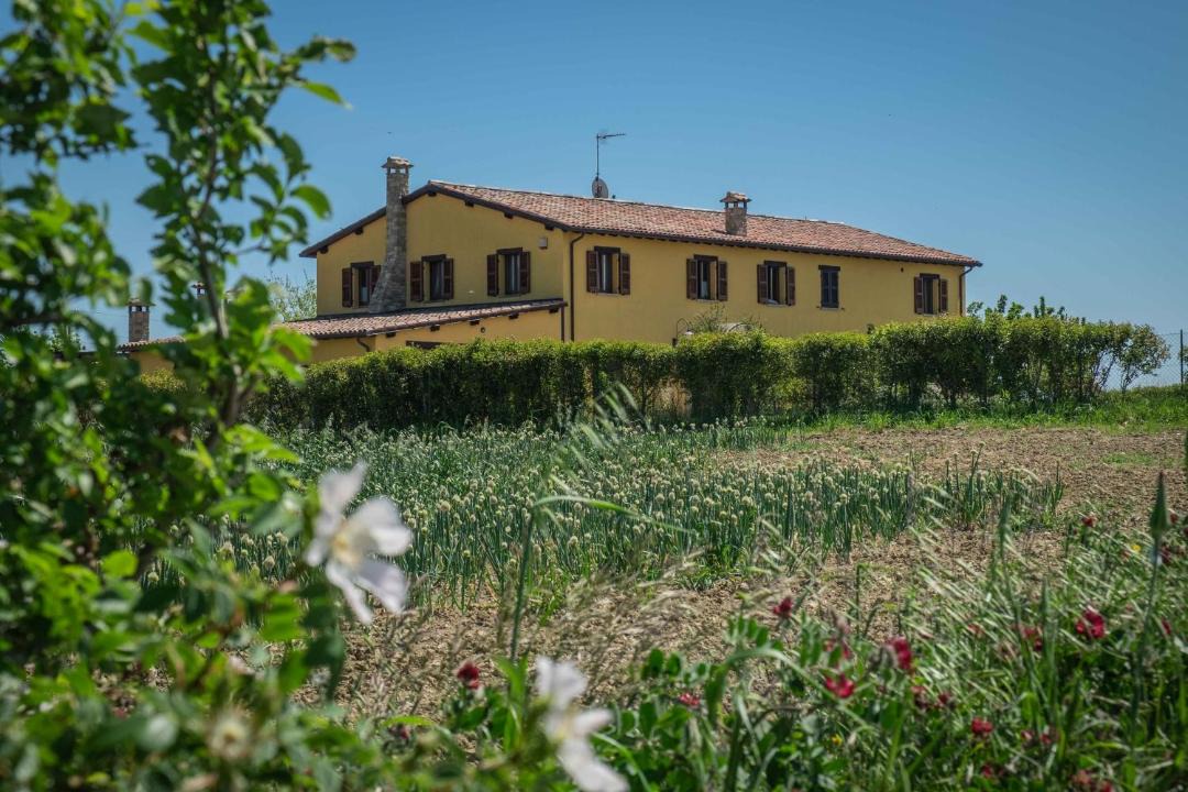 Photo of Others in Rupoli