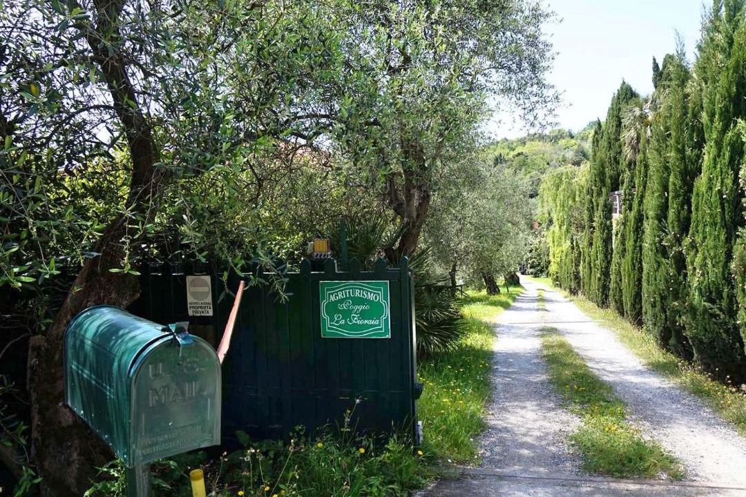 Photo of Others in Vecchiano