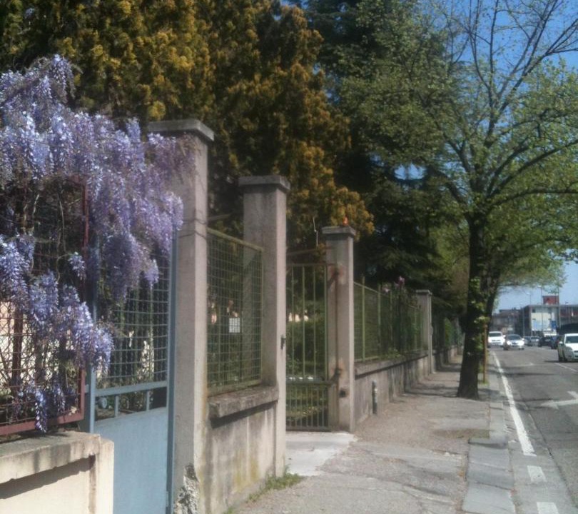 Photo of Others in Borgo Roma
