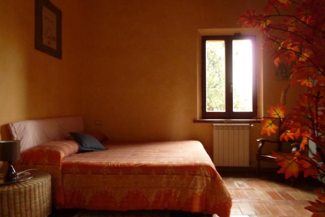 Photo of Others in Urbino