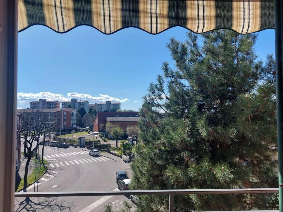 Photo of Others in Busto Arsizio