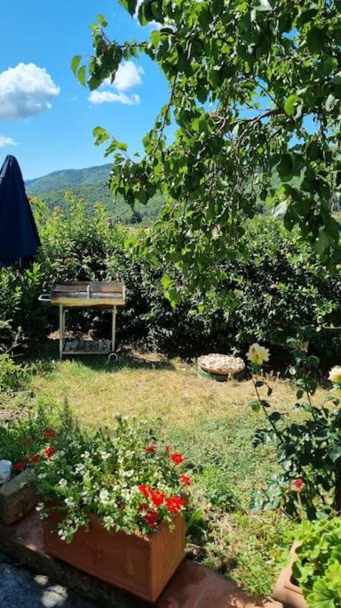 Photo of Others in Greve in Chianti