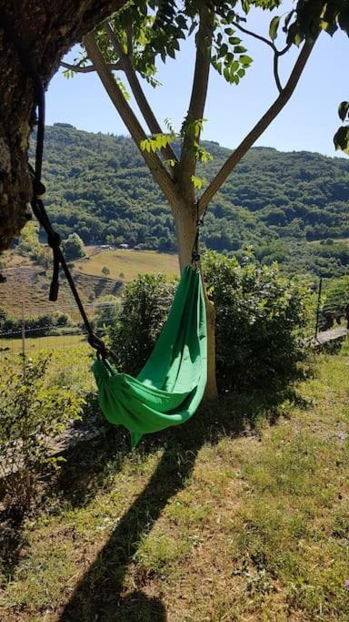 Photo of Others in Greve in Chianti