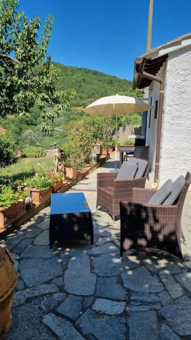 Photo of Others in Greve in Chianti