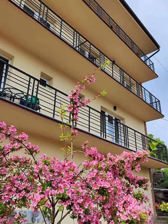 Photo of Buildings in Soko Banja