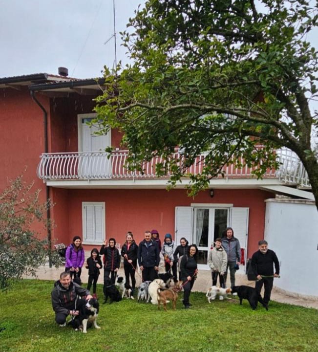 Photo of Others in Volta Mantovana