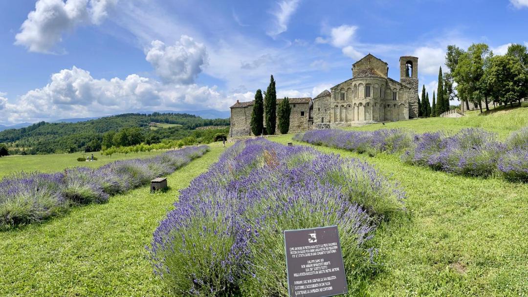Photo of Others in Pratovecchio