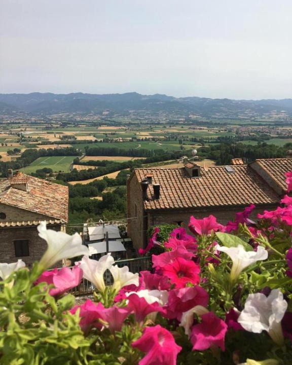 Photo of Others in Santa Reparata
