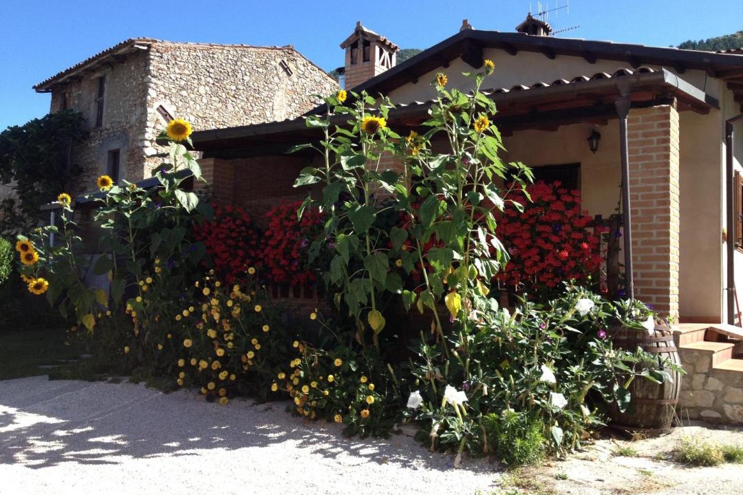 Photo of Buildings in Barete