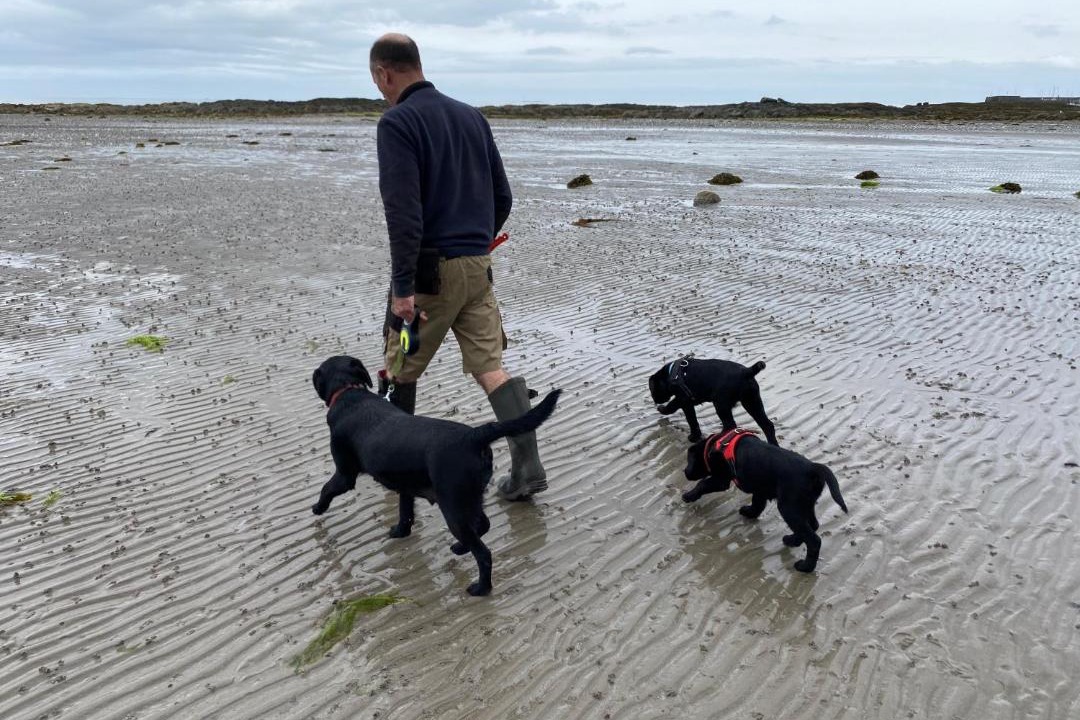 Photo of Others in Ballywalter