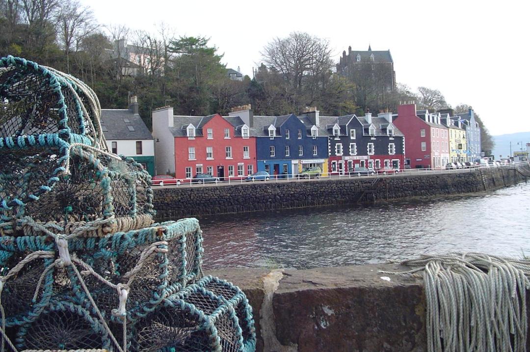 Photo of Others in Tobermory