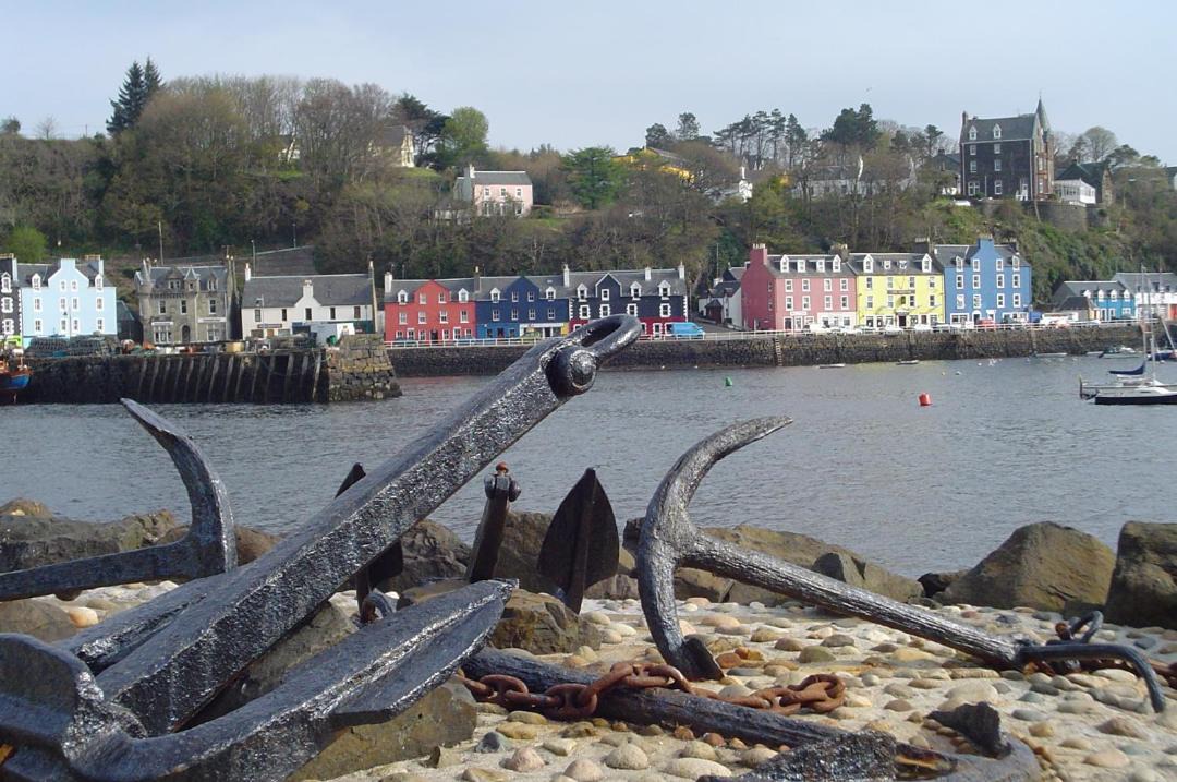 Photo of Others in Tobermory