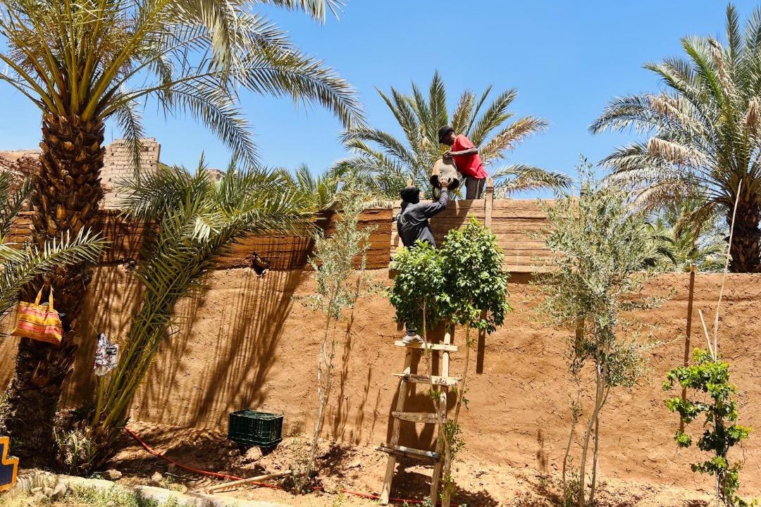 Photo of Others in Zagora