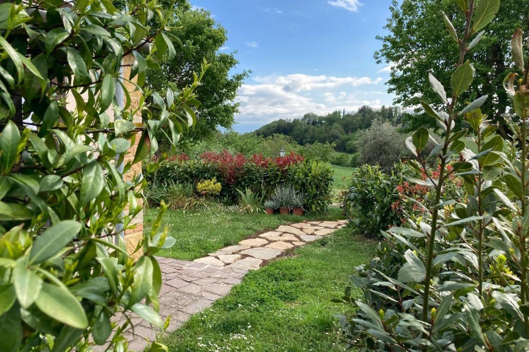 Photo of Others in Montefollonico