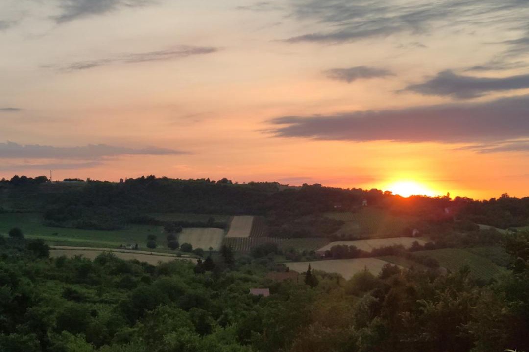 Photo of Outdoor in Sremski Karlovci