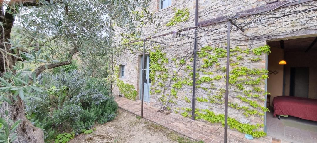 Photo of Others in Montone