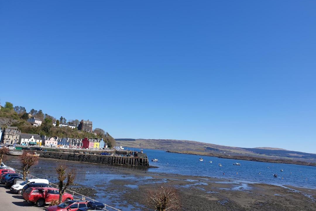 Photo of Others in Tobermory