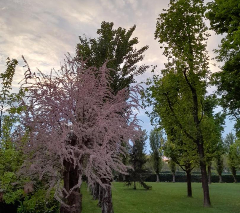 Photo of Outdoor in Il Cristo
