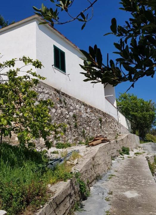 Photo of Others in Cagnano Varano