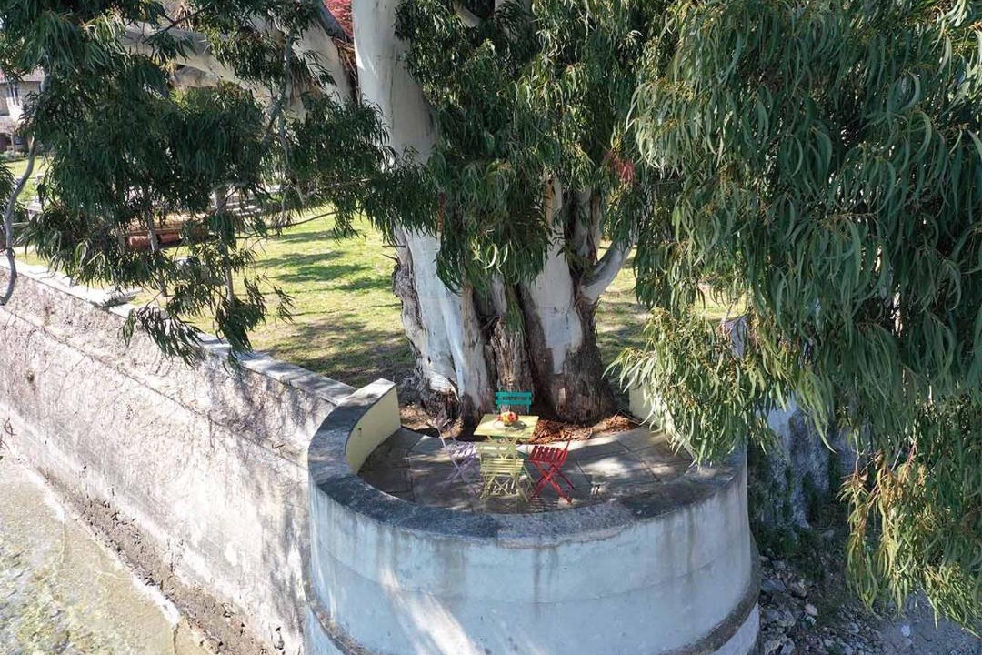 Photo of Others in San Maurizio