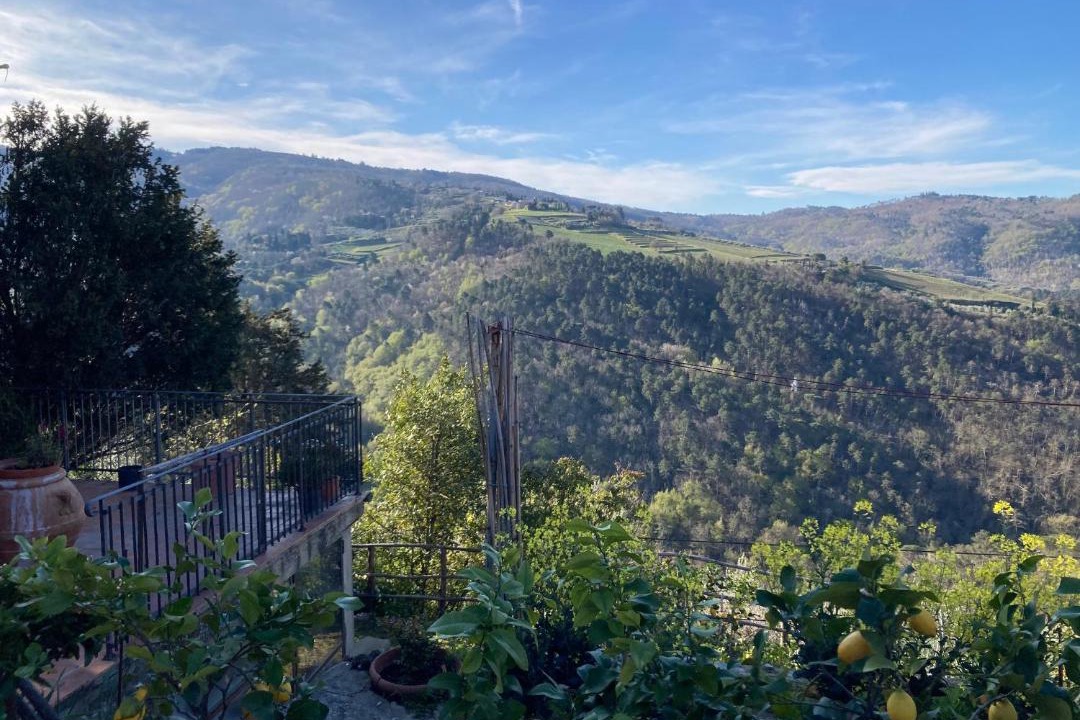 Photo of Outdoor in Greve in Chianti