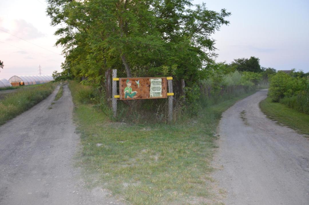Photo of Others in Apatin
