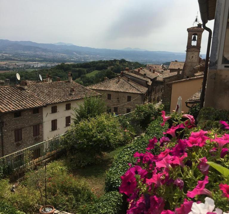 Photo of Others in Santa Reparata