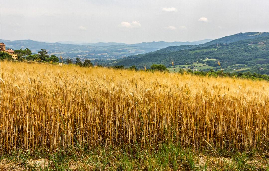 Photo of Outdoor in Serravalle di Chienti