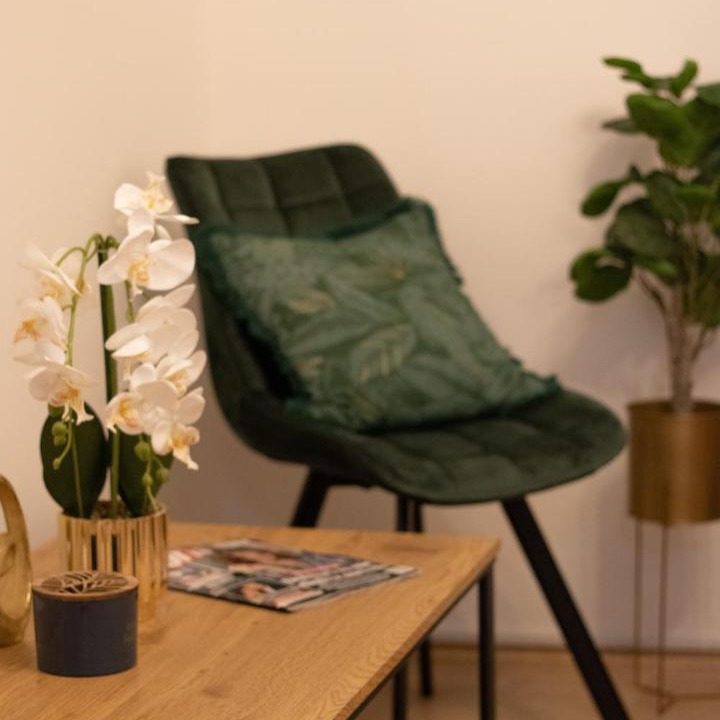Photo of Livingroom in Becej