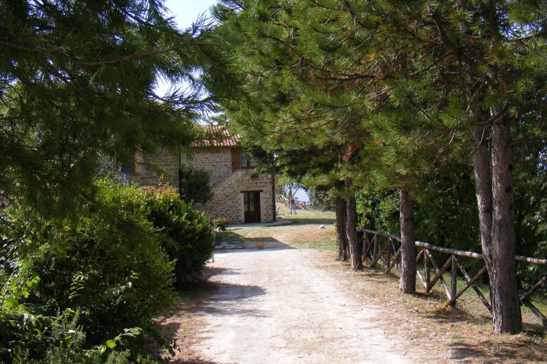 Photo of Others in Montelovesco