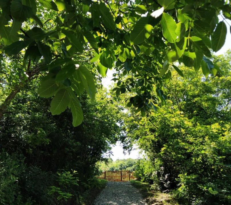 Photo of Outdoor in Petrovaradin
