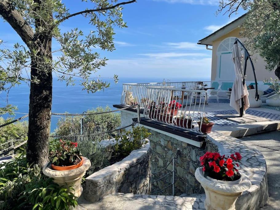 Photo of Others in Pieve Ligure