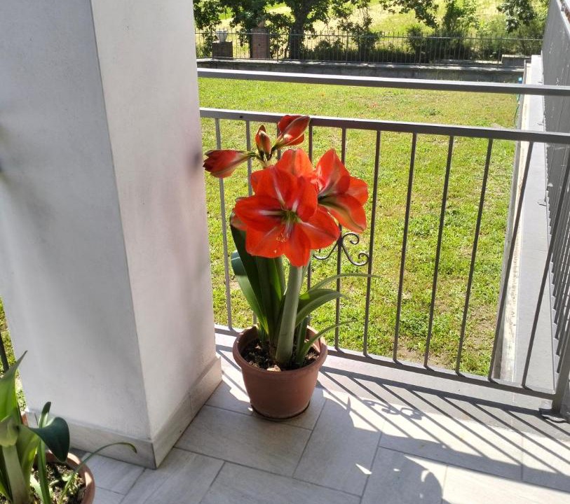 Photo of Patio Balcony in Acquapendente
