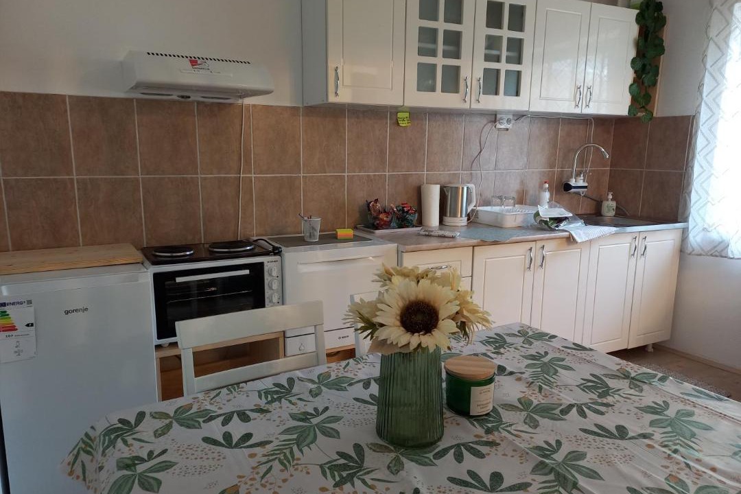 Photo of Kitchen in Becej