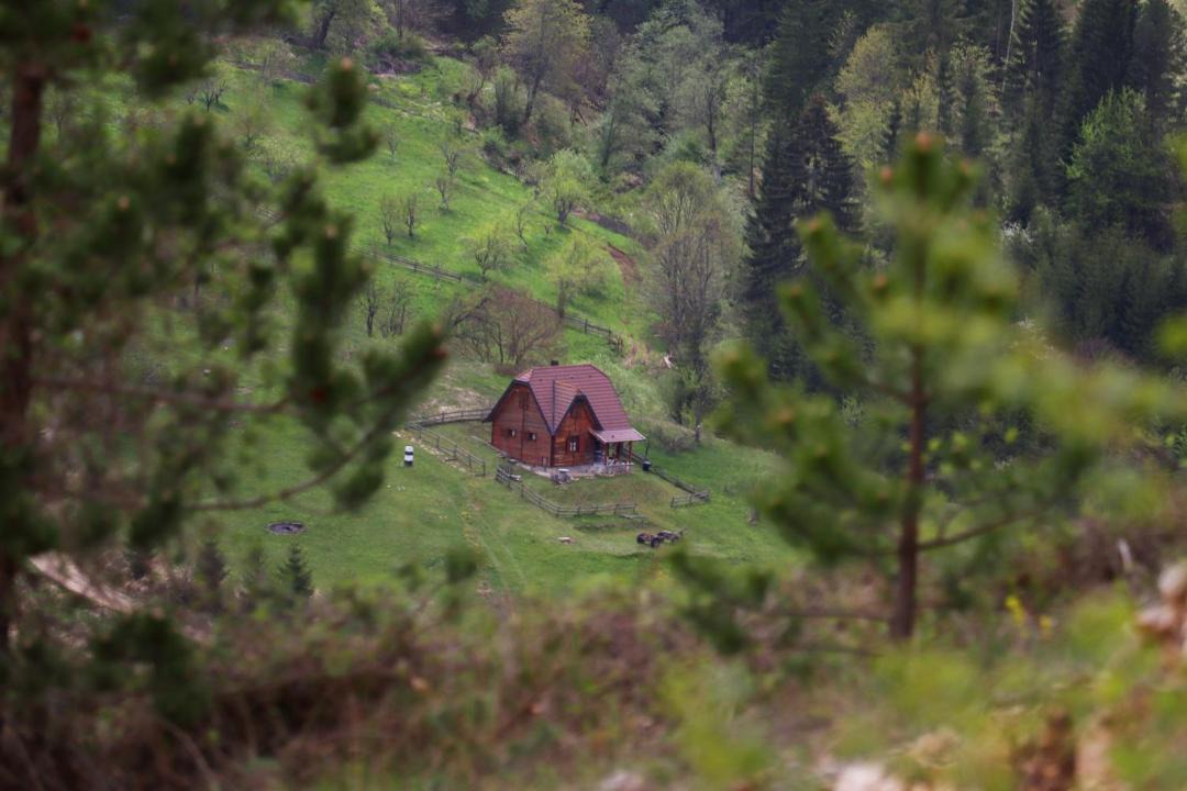 Photo of Others in Bajina Basta