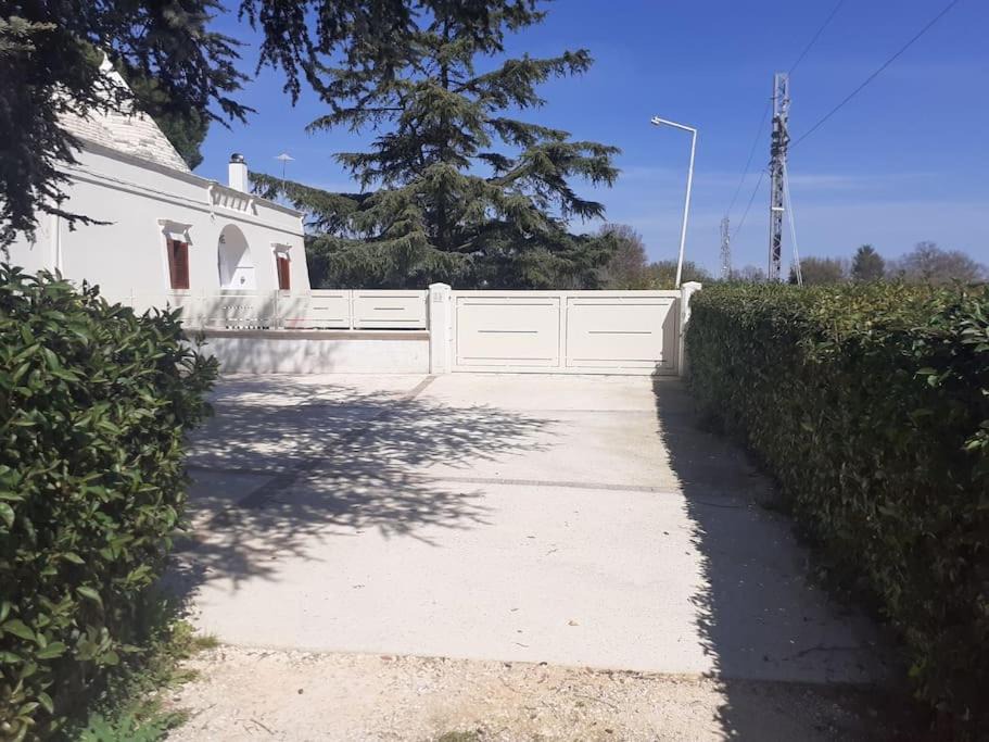 Photo of Others in Cisternino