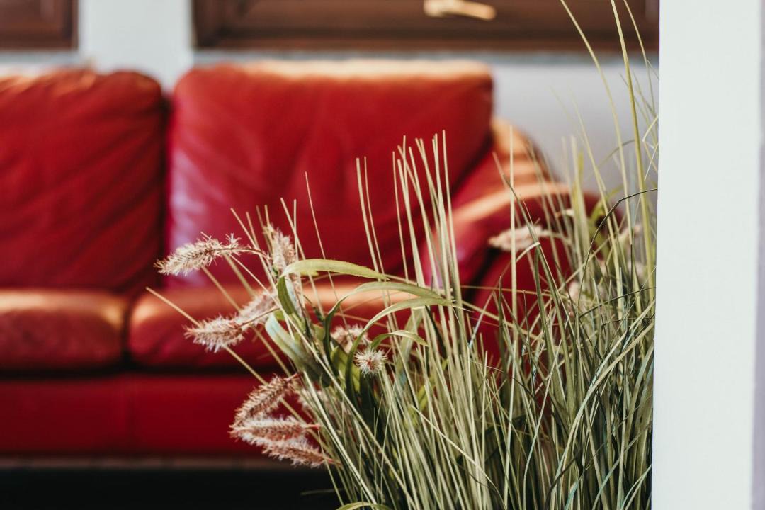 Photo of Livingroom in Nebbiuno
