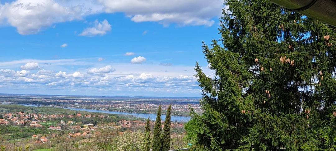Photo of Outdoor in Novi Sad