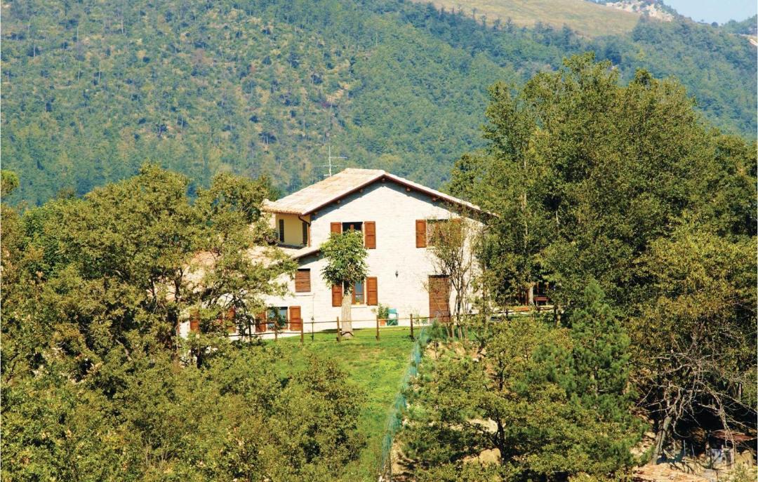Photo of Others in Apecchio