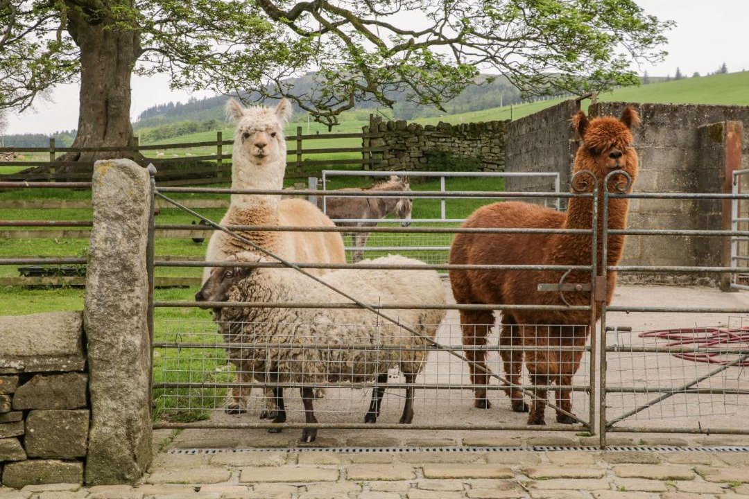 Photo of Others in Skipton