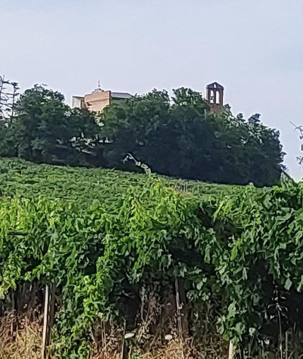 Photo of Others in Morro dʼOro