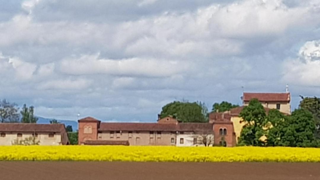 Photo of Buildings in Cerea
