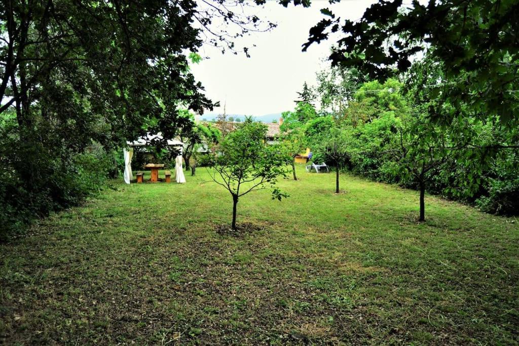 Photo of Others in Montefelcino
