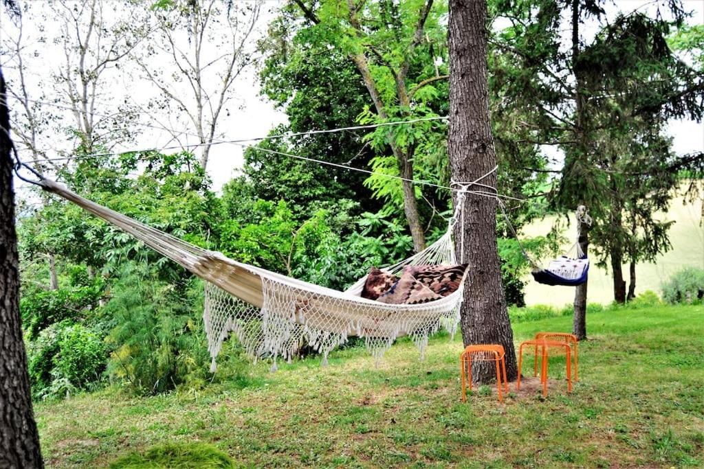 Photo of Others in Montefelcino