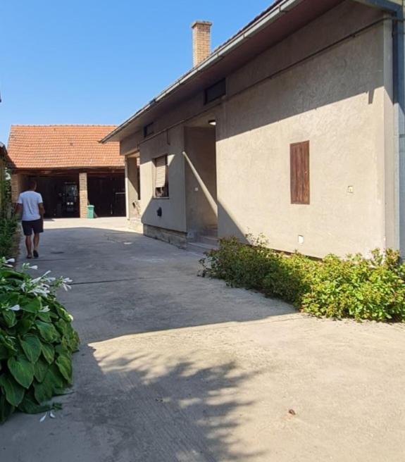Photo of Others in Backi Petrovac
