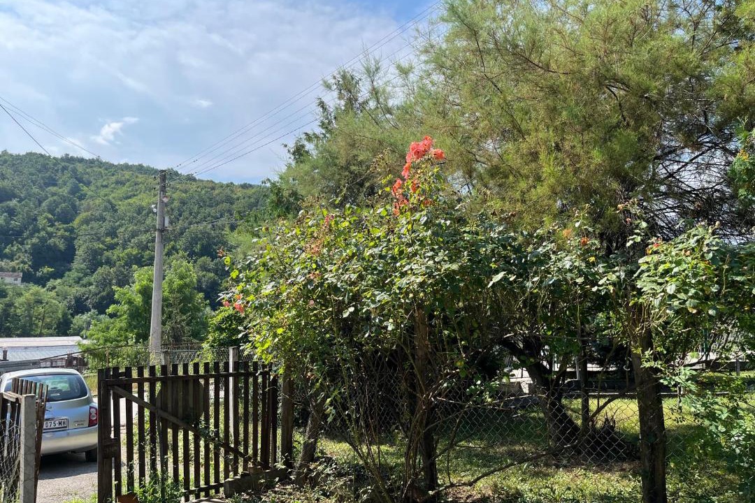 Photo of Outdoor in Kursumlija