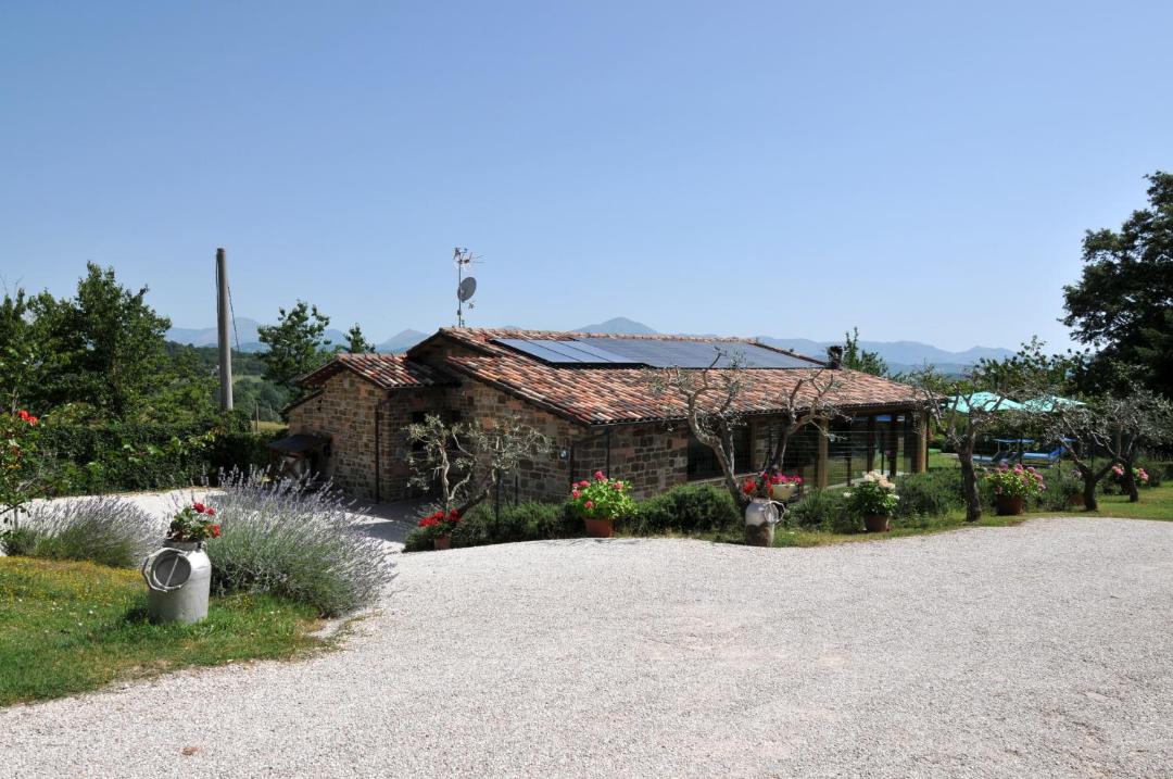 Photo of Others in Monteluiano