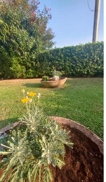 Photo of Outdoor in Fiumaretta