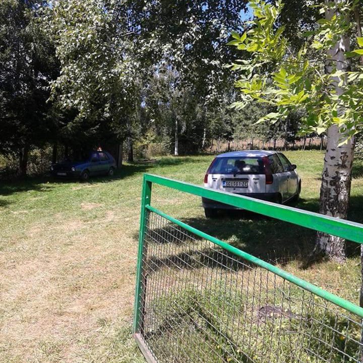 Photo of Others in Central Serbia