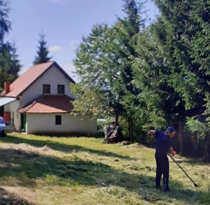 Photo of Others in Central Serbia